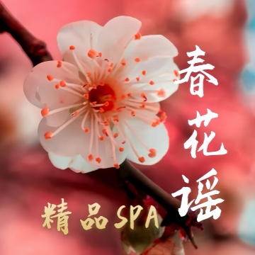 春花瑶·柔式SPA